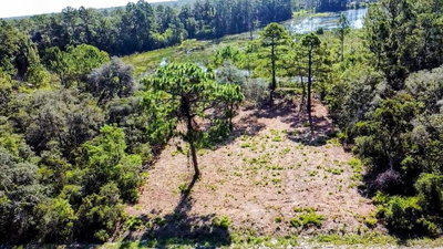 MALAUKA Pass, Ocklawaha, FL, 32179 — photo 2