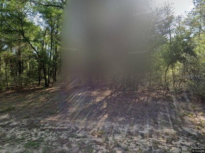 491 NEMO Drive, Dunnellon, FL, 34434 — photo 2