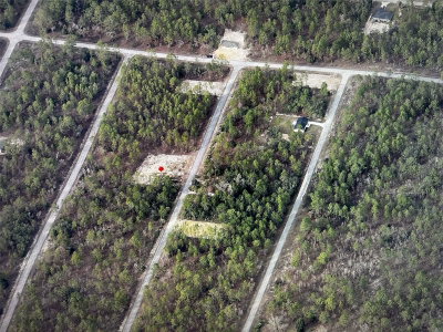 NARCISSUS, Dunnellon, FL, 34431 — photo 2