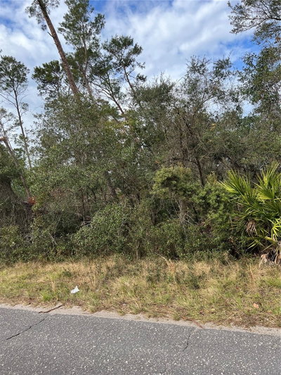 FISHERMANS Road, Paisley, FL, 32767 — photo 2