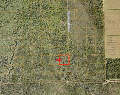 LAKE HARNEY Road, Osteen, FL, 32764 — photo 2