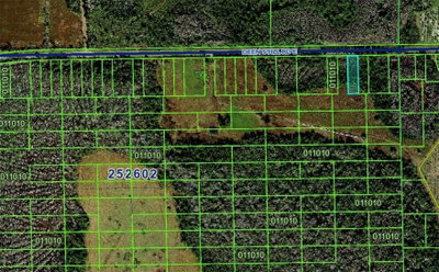 DEEN STILL Road, Polk City, FL, 33868 — photo 2