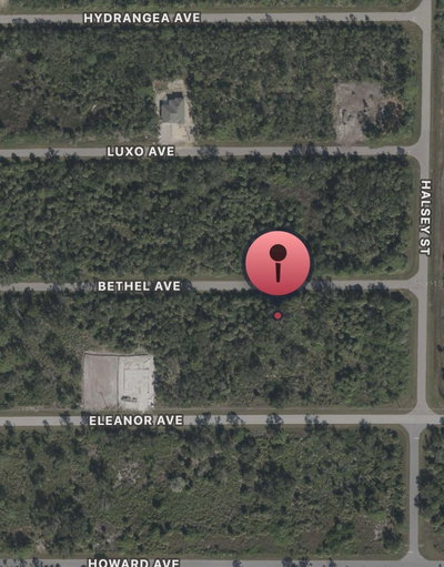 14233 BETHEL Avenue, Port Charlotte, FL, 33953 — photo 2