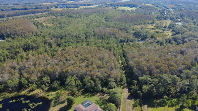 CYPRESS CREEK RANCH Road, St Cloud, FL, 34771 — photo 2