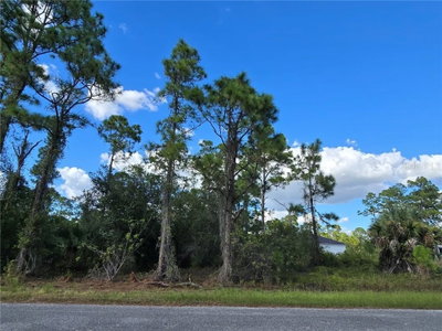 1017 LAKESIDE Drive, Lehigh Acres, FL, 33974 — photo 2
