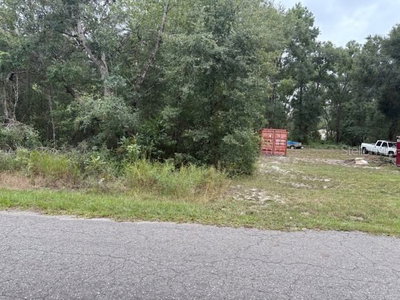 Ocklawaha, FL, 32179 — photo 2