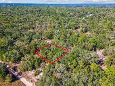 2903 TYLER Street, Inverness, FL, 34453 — photo 2