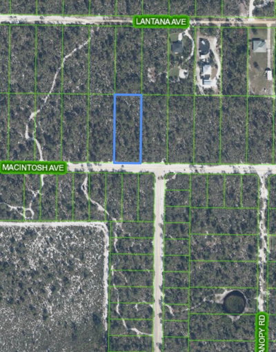 2132 MACINTOSH Avenue, Sebring, FL, 33875 — photo 2