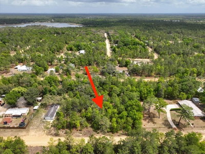 118 PATCH Street, Interlachen, FL, 32148 — photo 2