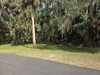 447 WARRIOR Trail, Deltona, FL, 32725 — photo 2