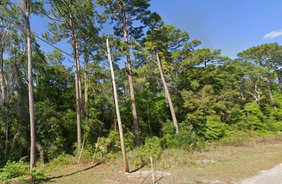 17TH Lane, Ocklawaha, FL, 32179 — photo 2