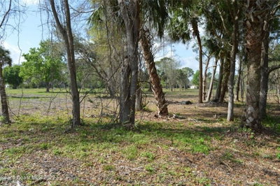 3500 US HIGHWAY 1, Mims, FL, 32754 — photo 2