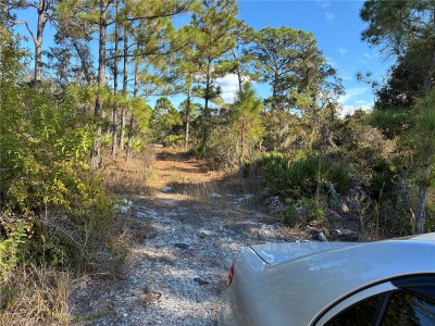 321 SHOWBOAT Avenue, Lake Placid, FL, 33852 — photo 2