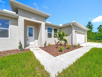 3110 CARNEGIE Avenue, Orlando, FL, 32833 — photo 2