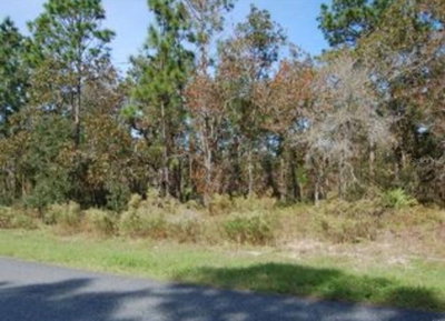2084 RILEY Drive, Citrus Springs, FL, 34434 — photo 2