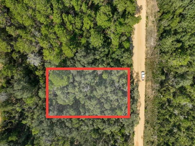 211 SELMA Avenue, Interlachen, FL, 32148 — photo 2