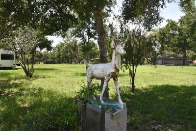 3100 POVERTY Lane, Apopka, FL, 32712 — photo 2