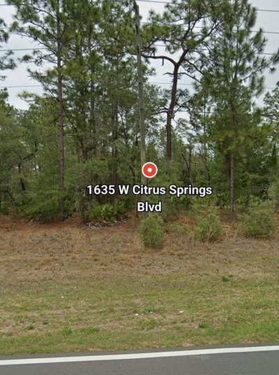 1635 CITRUS SPRINGS Boulevard, Citrus Springs, FL, 34434 — photo 2