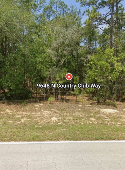 9648 COUNTRY CLUB Way, Dunnellon, FL, 34434 — photo 2