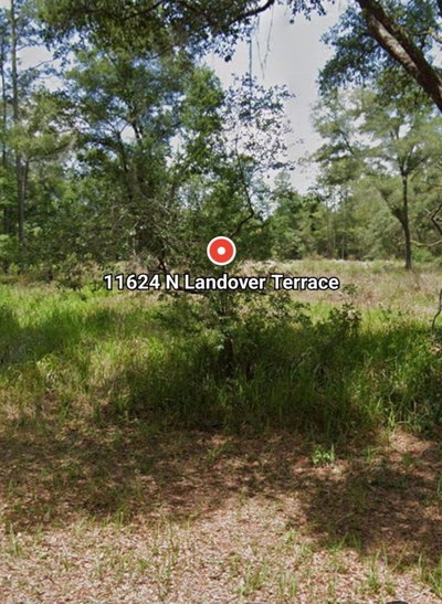 11624 LANDOVER Terrace, Dunnellon, FL, 34434 — photo 2