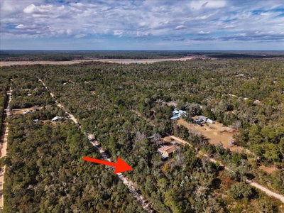 233RD Lane, Fort Mc Coy, FL, 32134 — photo 2
