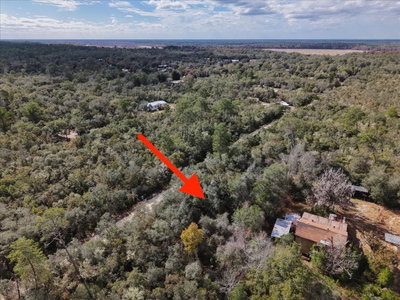 233RD Lane, Fort Mc Coy, FL, 32134 — photo 2