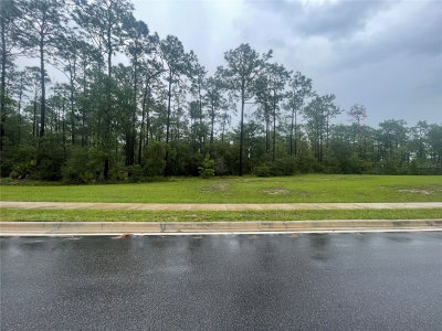 VIRGINIA (PAPER) Avenue, Deltona, FL, 32738 — photo 2