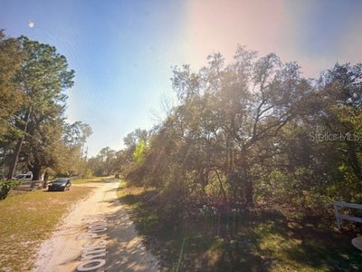 TOMS POND Road, Eustis, FL, 32726 — photo 2
