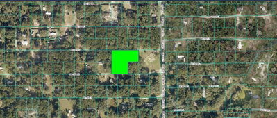 162ND Place, Citra, FL, 32113 — photo 2
