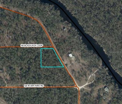 NE TIMBER RIVER Loop, Lee, FL, 32059 — photo 2
