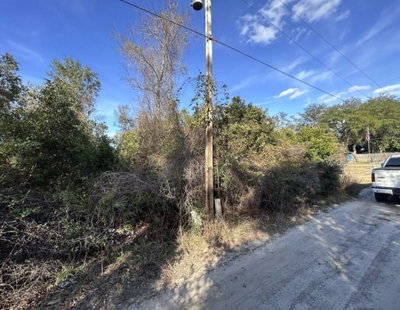 141ST Place, Umatilla, FL, 32784 — photo 2