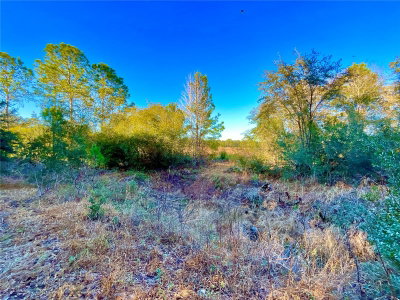 TBD LAKEVIEW Way, Interlachen, FL, 32148 — photo 2