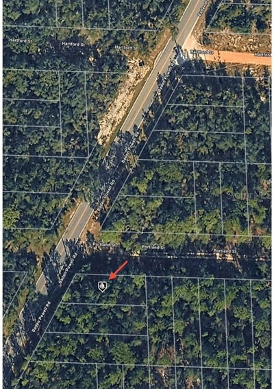 BADEN POWELL Road, Hawthorne, FL, 32640 — photo 2