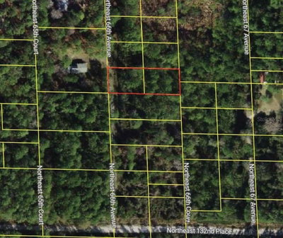 66TH Avenue, Citra, FL, 32113 — photo 2