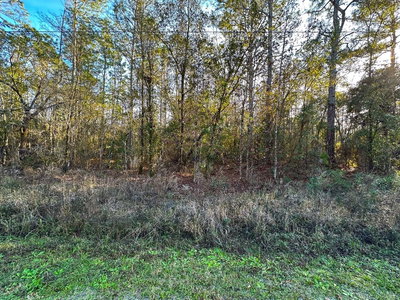 Lot 428 DIVISION Street, Hastings, FL, 32145 — photo 2