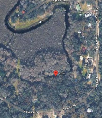 12811 BIG BUCK Trail, Floral City, FL, 34436 — photo 2