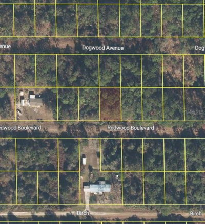 318 REDWOOD Boulevard, Georgetown, FL, 32139 — photo 2
