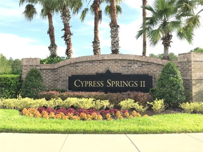 1702 CYPRESS RIDGE Drive, Orlando, FL, 32825 — photo 2