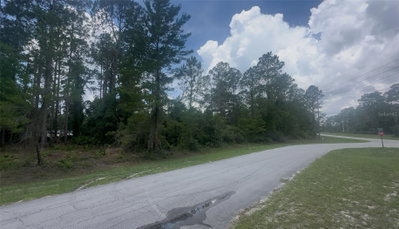 107 GEORGETOWN POINT Road, Georgetown, FL, 32139 — photo 2