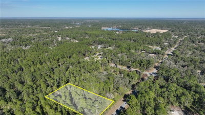 SAFFRON Avenue, Eustis, FL, 32736 — photo 2