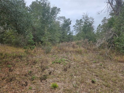 SE HIGHWAY 42, Weirsdale, FL, 32195 — photo 2