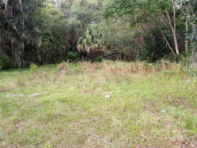 CARVER Street, Mims, FL, 32754 — photo 2