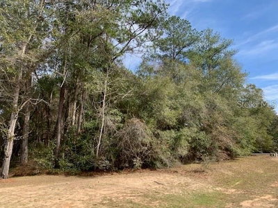 167 SPARKLEBERRY Boulevard, Quincy, FL, 32351 — photo 2