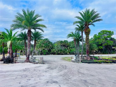 8440 COUNTY ROAD 48, Yalaha, FL, 34797 — photo 2
