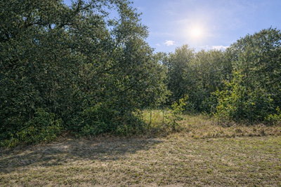 4375 194TH Avenue, Dunnellon, FL, 34432 — photo 2
