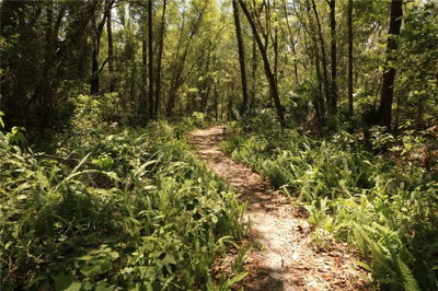 FRANKLIN Street, Oviedo, FL, 32765 — photo 2