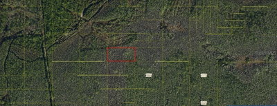 HOLOPAW GROVES Road, St Cloud, FL, 34771 — photo 2