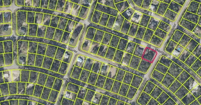 FISHER WAY Drive, Ocklawaha, FL, 32179 — photo 2