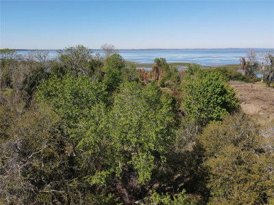 1401 FULLERS CROSS Road, Winter Garden, FL, 34787 — photo 2