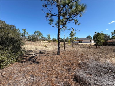 6725 KILLINGER Terrace, Citrus Springs, FL, 34433 — photo 2